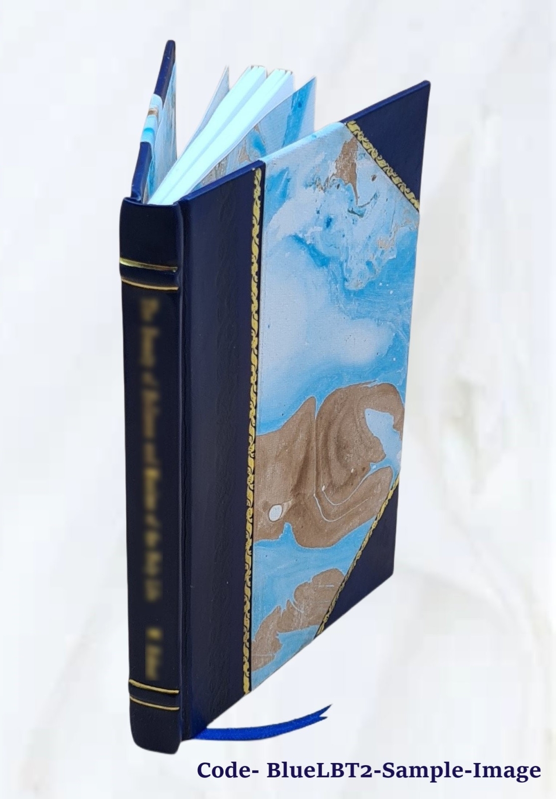 The Ancient Village 1916 By Larison Cornelius Wilson – [Leather Bound]