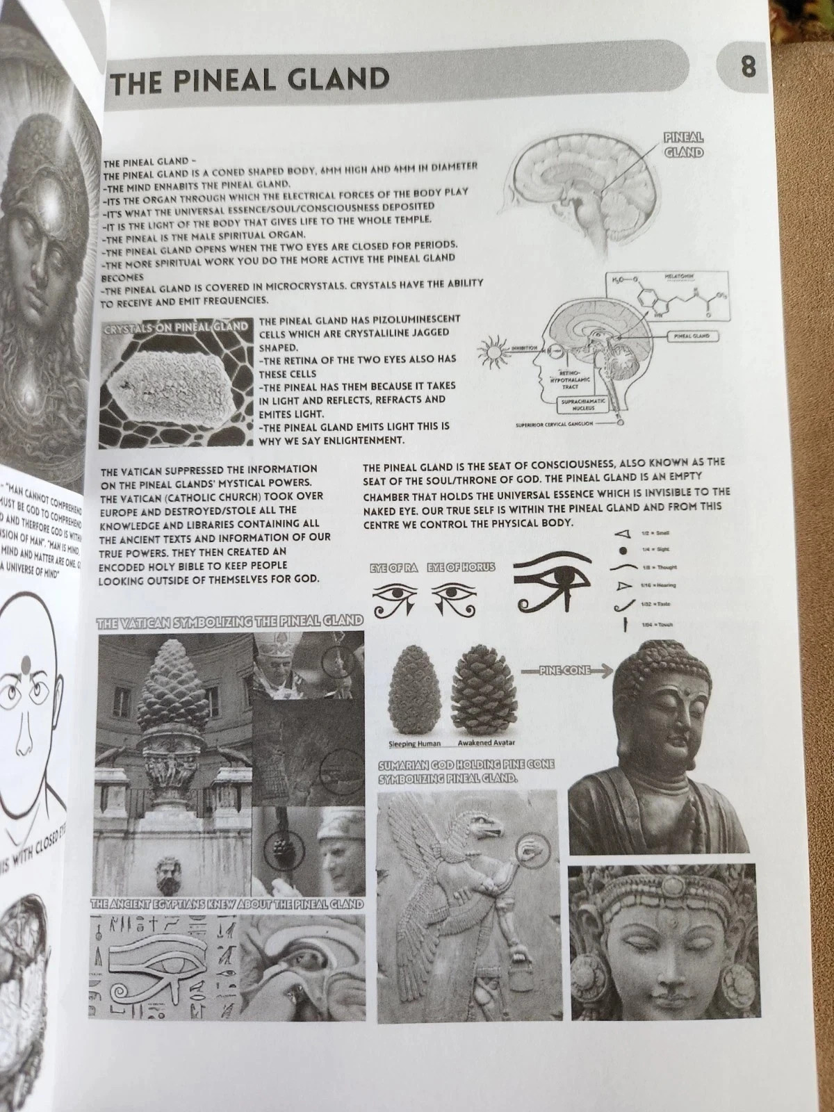 Book of Wisdom Volumes 1 & 2 by Harry B. Joseph (Paperback 2-Book Bundle)…